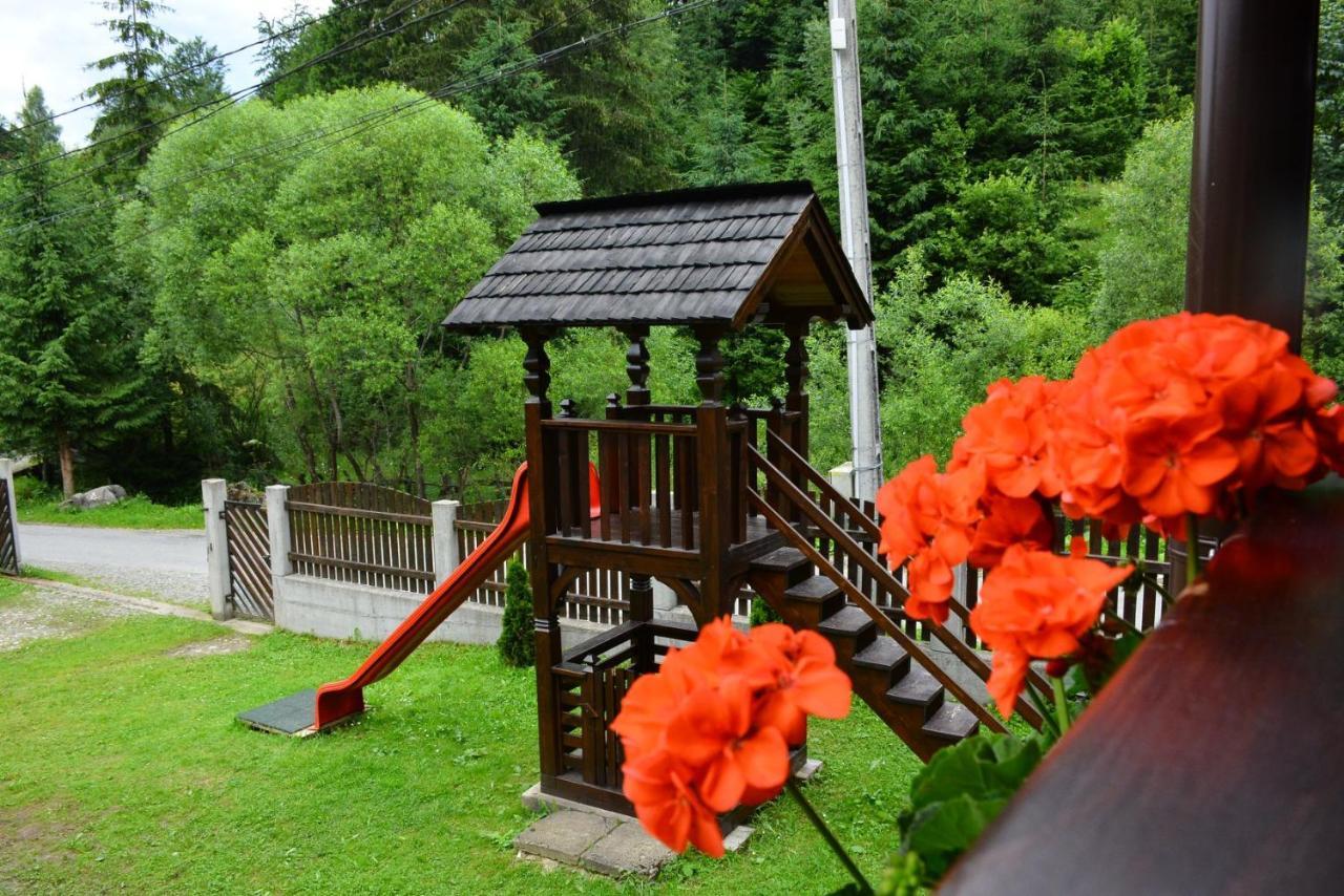 Отель Cabana Cascada Cailor Борша Экстерьер фото