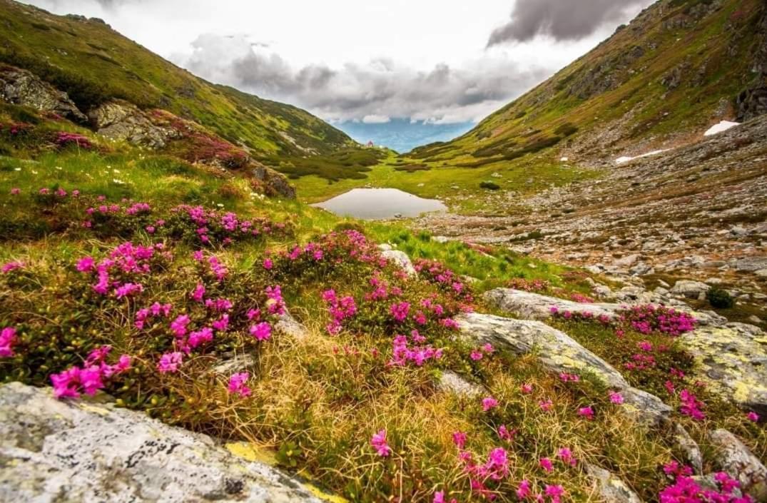 Отель Cabana Cascada Cailor Борша Экстерьер фото
