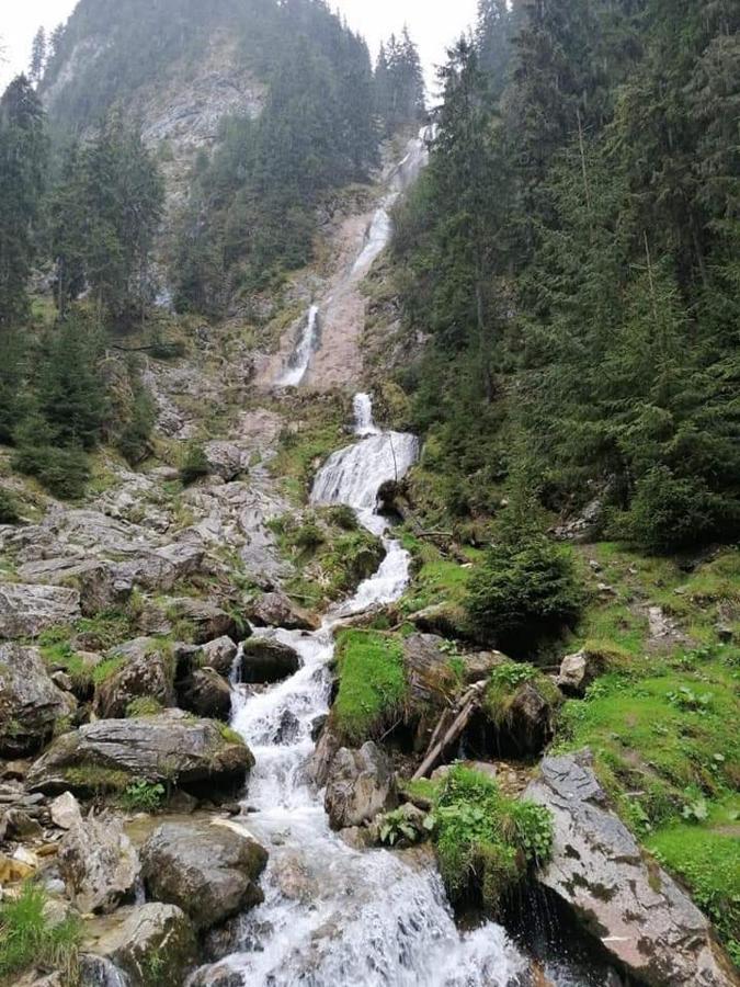 Отель Cabana Cascada Cailor Борша Экстерьер фото