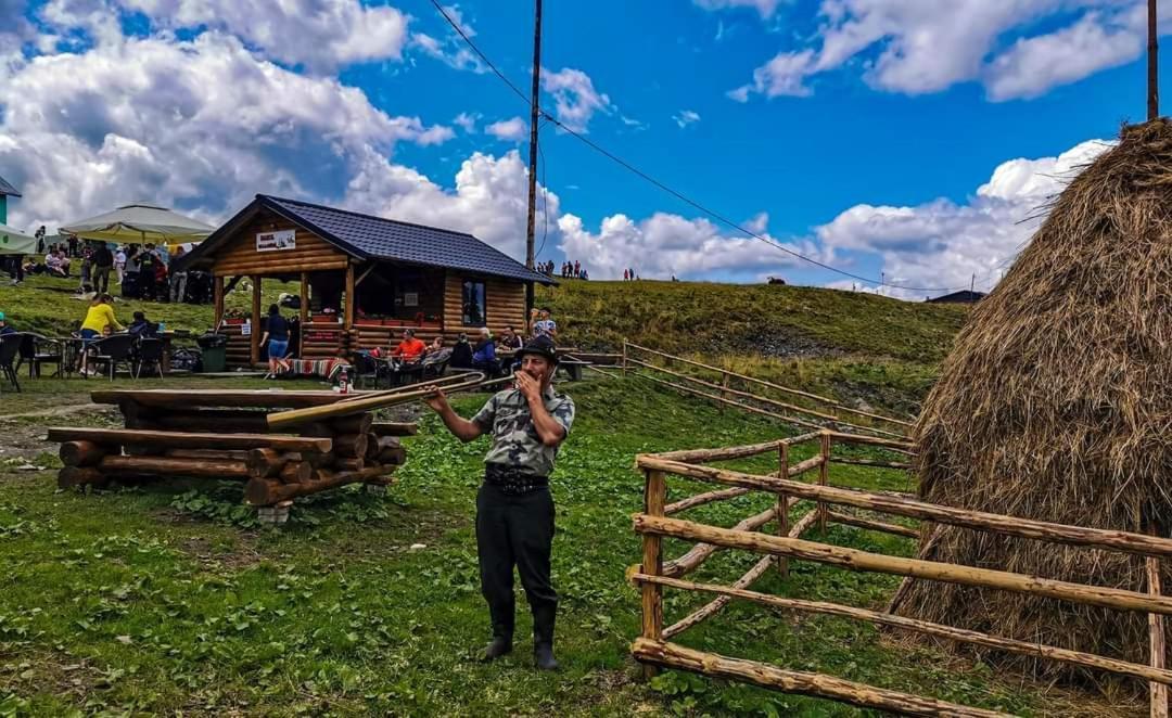 Отель Cabana Cascada Cailor Борша Экстерьер фото