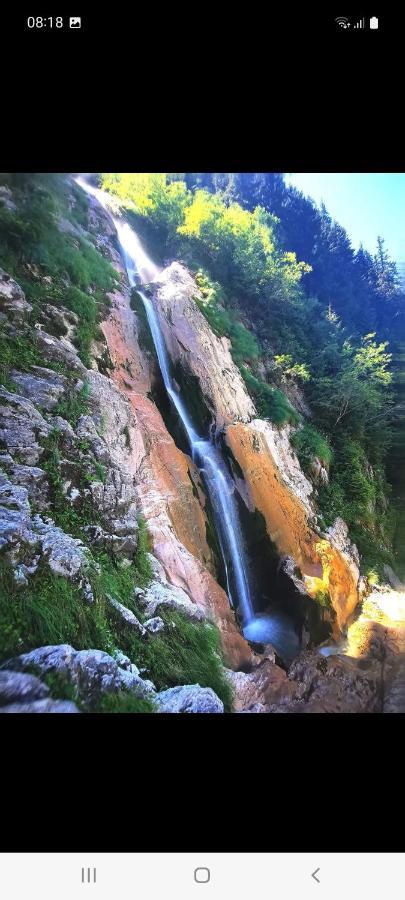 Отель Cabana Cascada Cailor Борша Экстерьер фото